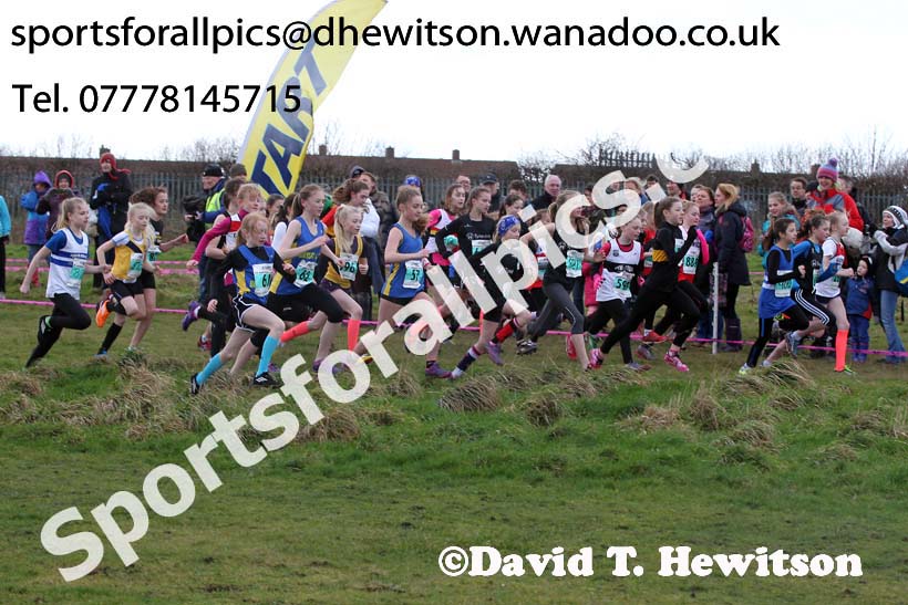 Under-13 girls NEHL, Wrekenton. Photo: David T. Hewitson/Sports for All Pics